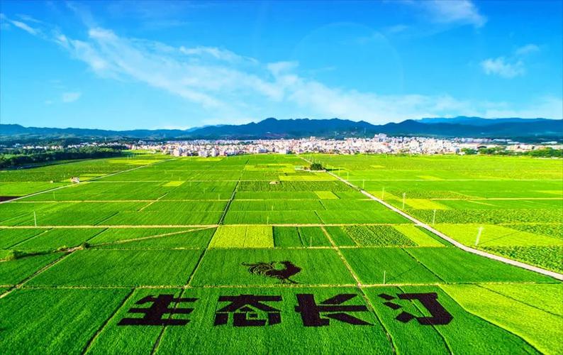 牢记嘱托 十年感恩奋进